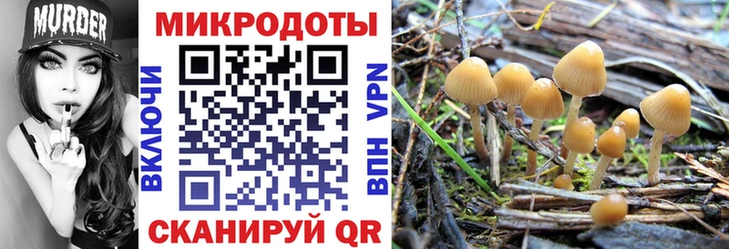 Галлюциногенные грибы Psilocybe  продажа наркотиков  Абакан 