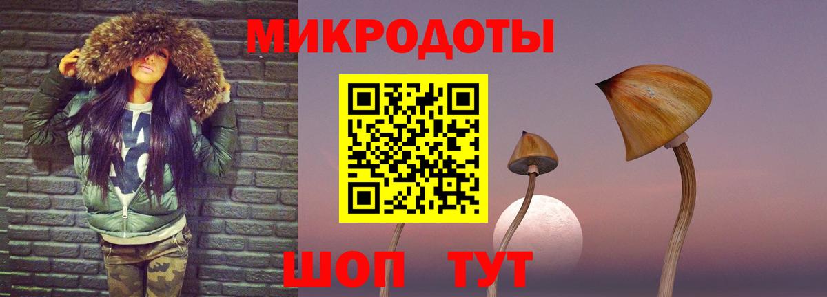 Абакан  Галлюциногенные грибы GOLDEN TEACHER  где найти   Вход с VPN 